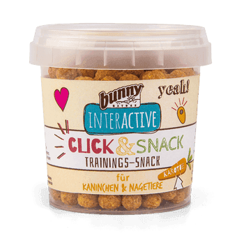 Bunny Trainings-Snack Karotte 30g